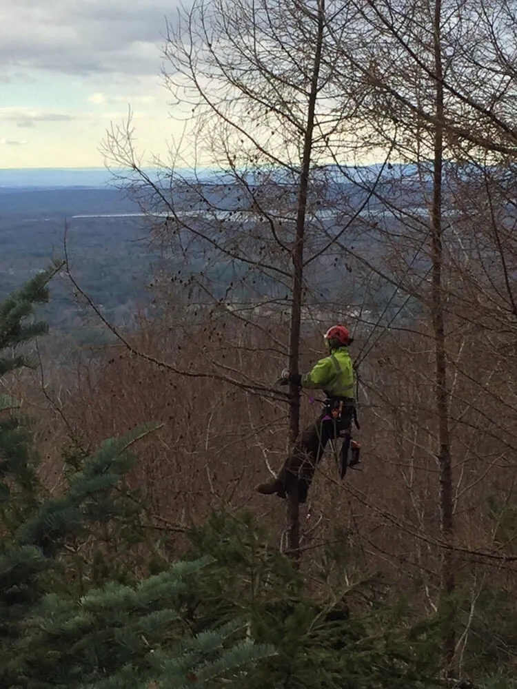 Trusted garden landscaping in Kingston, NY - Armin's Tree Service