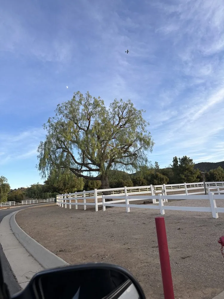 Trusted landscape installation in Santa Clarita, CA by Armondo's Landscaping