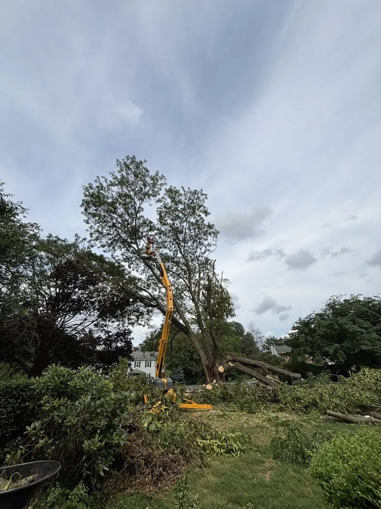 Trusted outdoor landscaping in Avondale, PA by Armor And Anchor