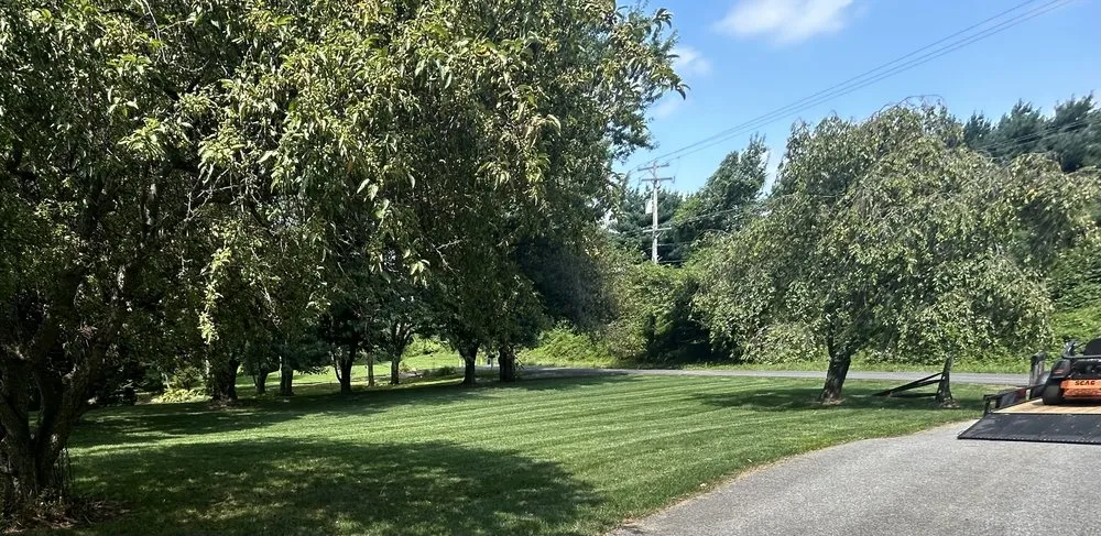 Expert lawn mowing service for outdoor upgrades across Avondale, PA - Armor And Anchor