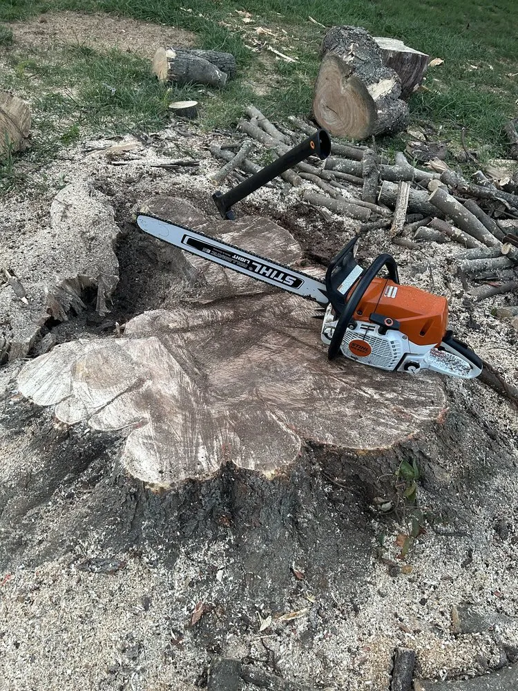 Local landscaping services with custom design in Avondale, PA by Armor And Anchor