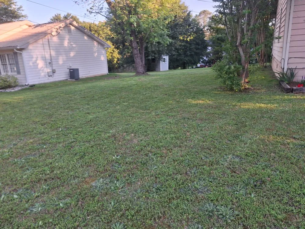 Top-rated outdoor landscaping for homes across Flowery Branch, GA - Armored Xteriors