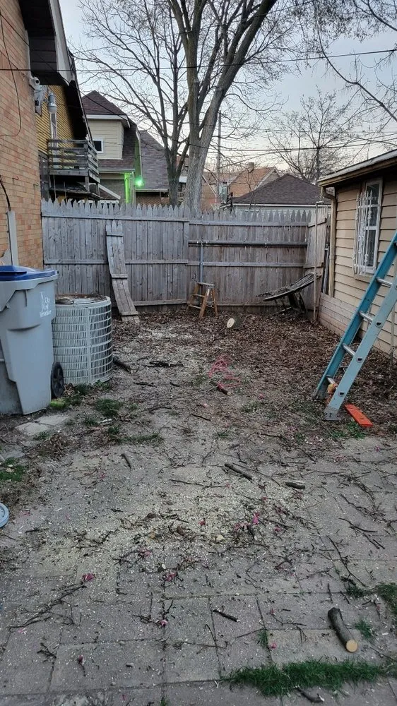 Local yard maintenance for year-round maintenance in Milwaukee, WI by Arms & wheels moving and removal