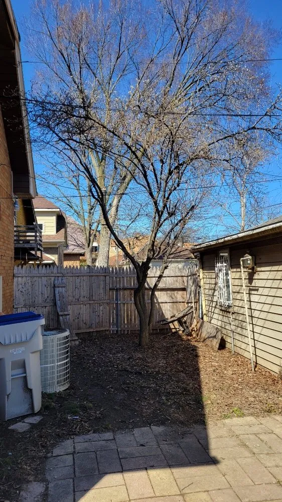 Top-rated yard maintenance for residential properties in Milwaukee, WI by Arms & wheels moving and removal