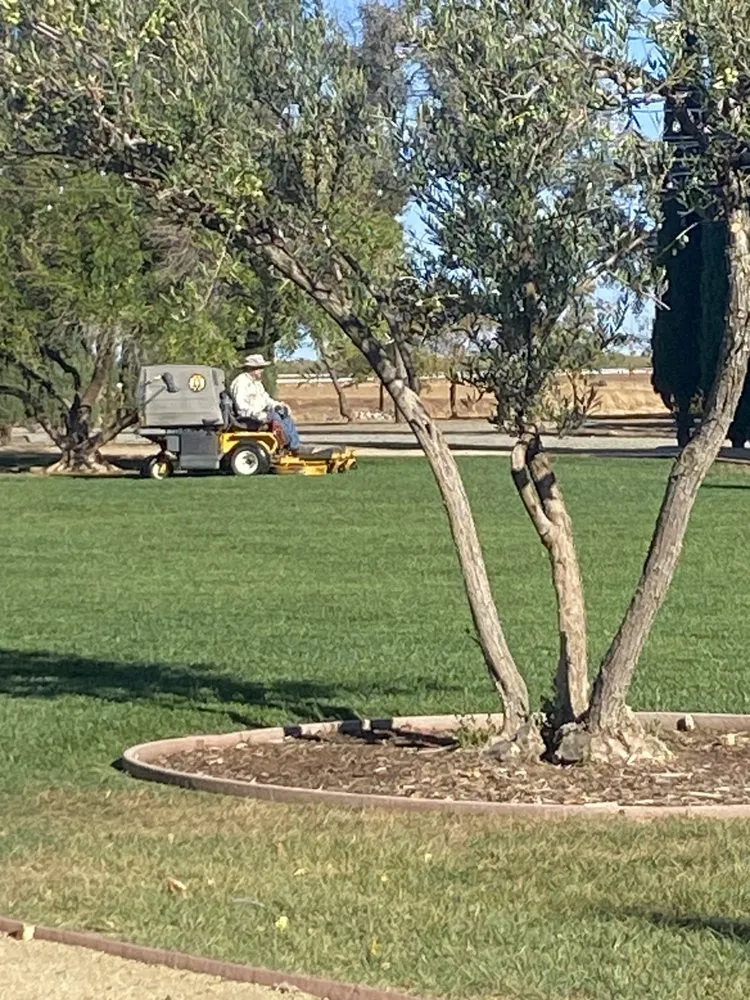 Custom lawn care service for beautiful yards in Brooks, CA by Armstrong Custom Mowing