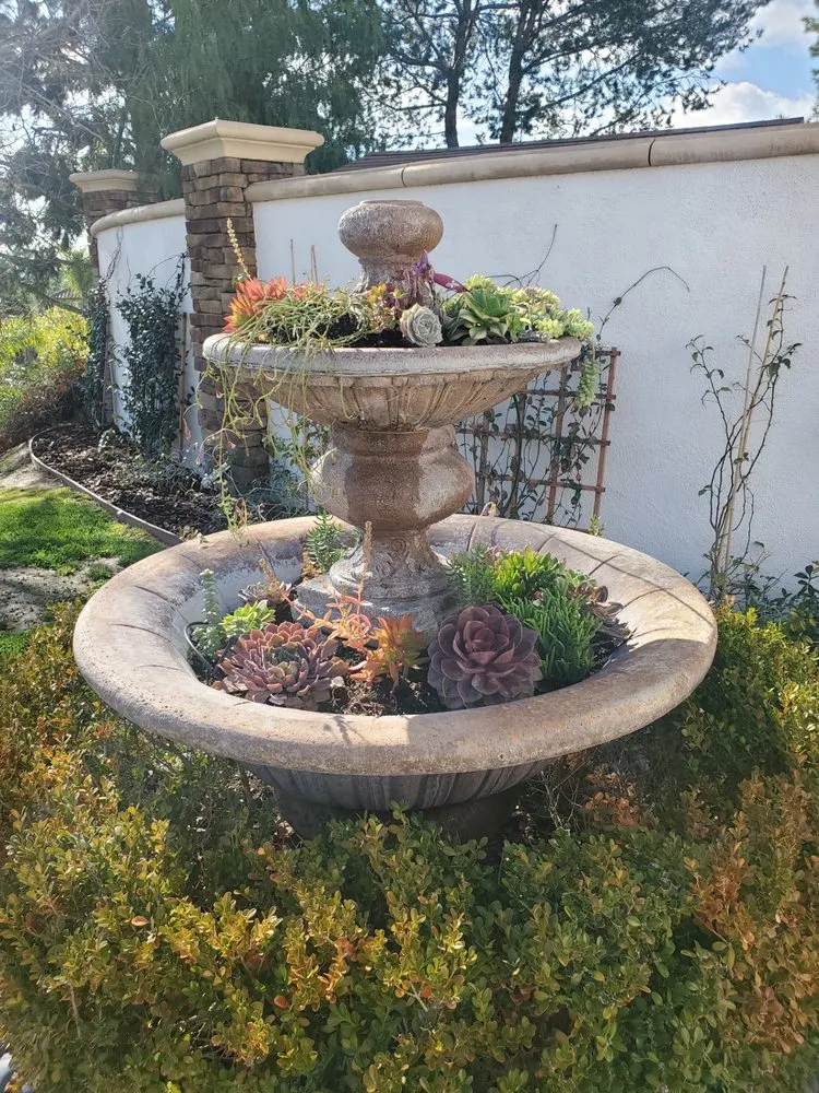 Trusted yard cleanup service with custom design in Anaheim, CA by Armstrong Garden Centers