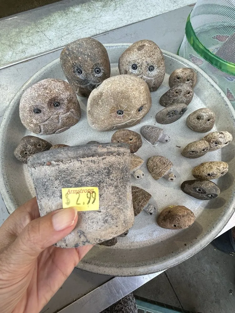 Reliable yard cleanup service experts serving Anaheim, CA - Armstrong Garden Centers