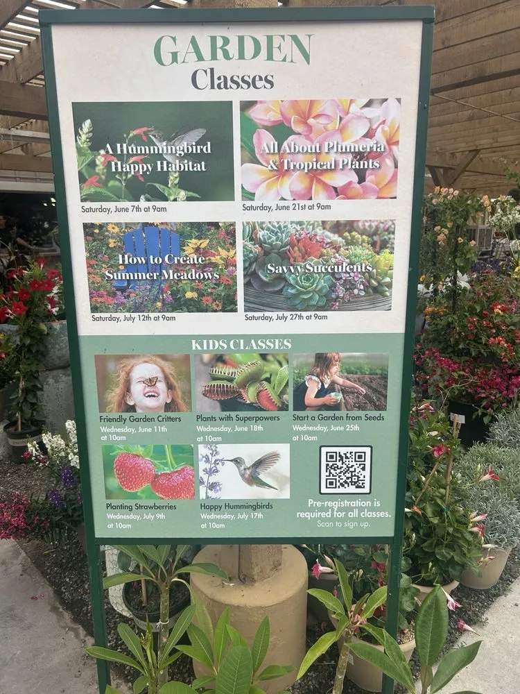 Local yard maintenance for year-round maintenance in Anaheim, CA by Armstrong Garden Centers