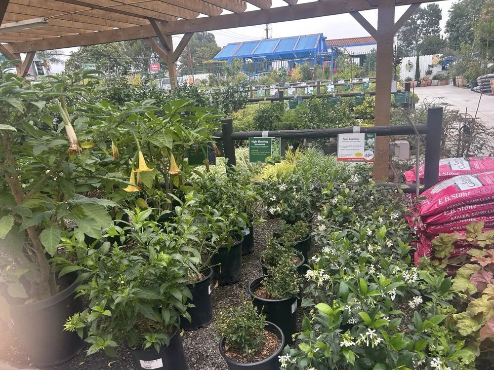 Trusted landscape design in Anaheim, CA - Armstrong Garden Centers