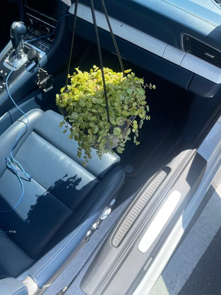 Trusted outdoor landscaping in Anaheim, CA - Armstrong Garden Centers