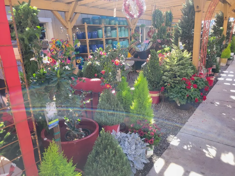 Trusted lawn mowing service experts serving Anaheim, CA - Armstrong Garden Centers