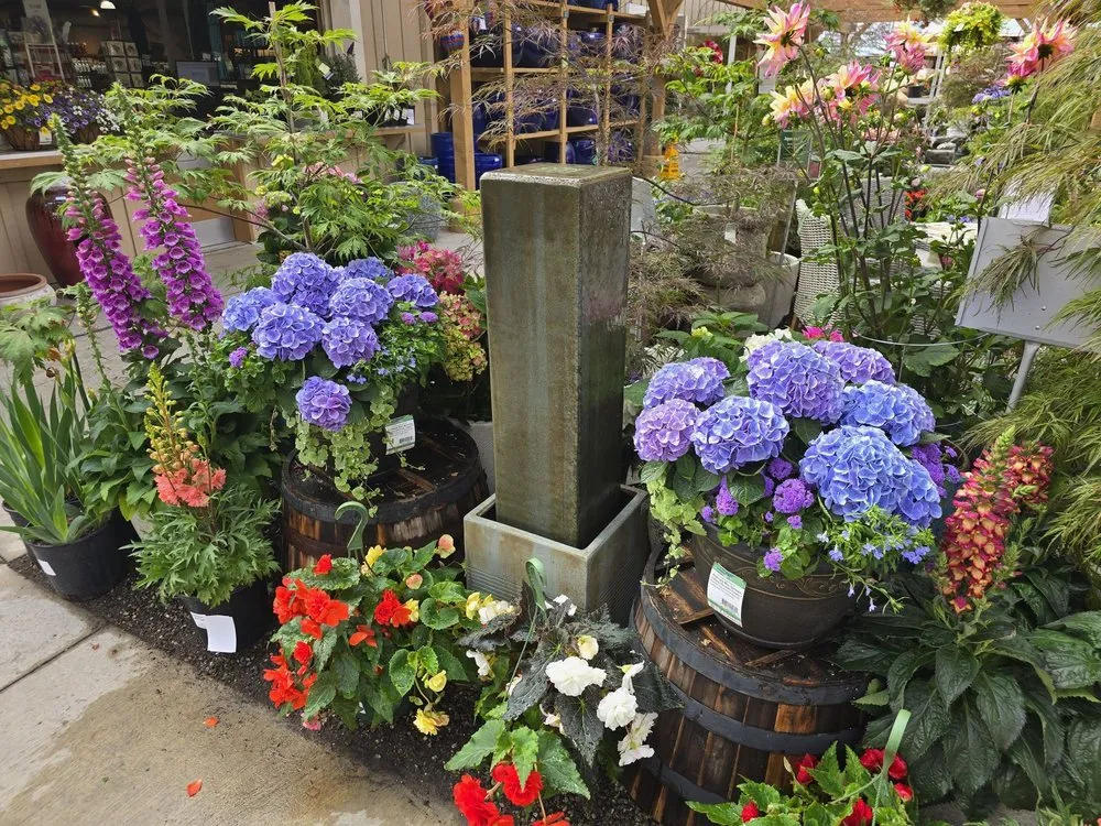 Local landscaping services for outdoor upgrades in Anaheim, CA by Armstrong Garden Centers