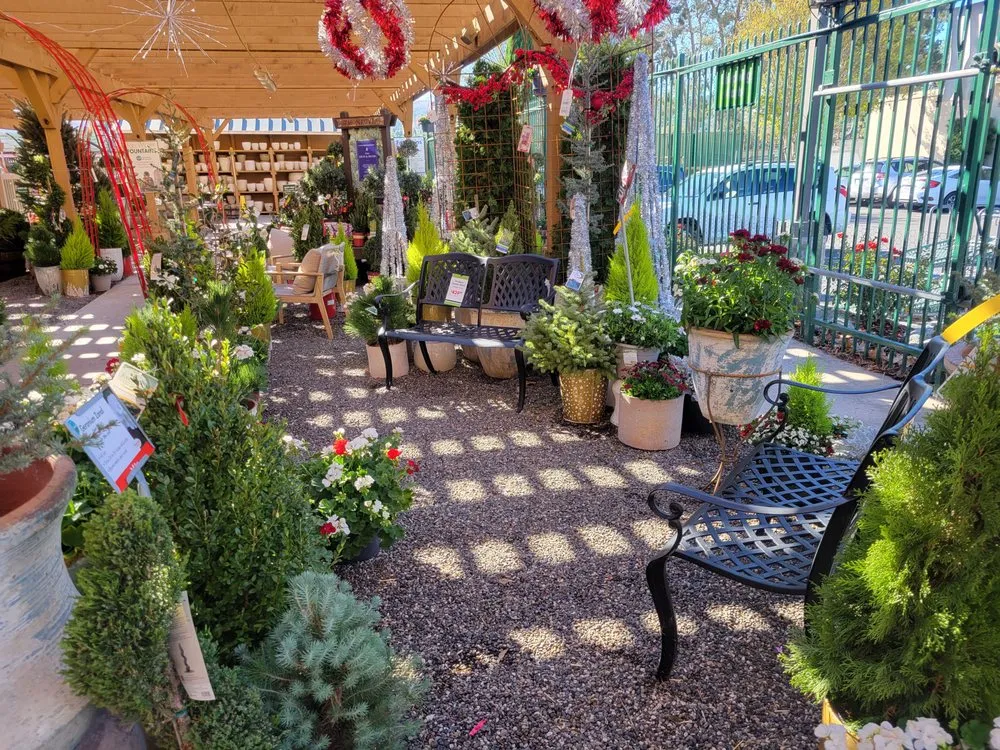 Top-rated landscaping services in Anaheim, CA - Armstrong Garden Centers