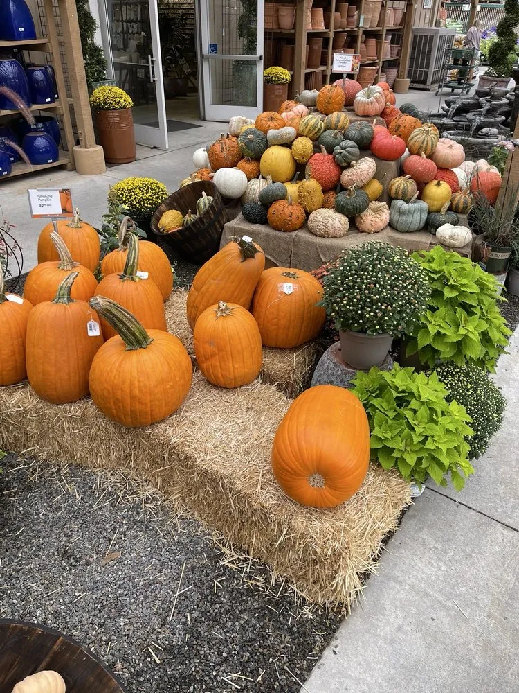 Affordable yard maintenance experts serving Anaheim, CA - Armstrong Garden Centers