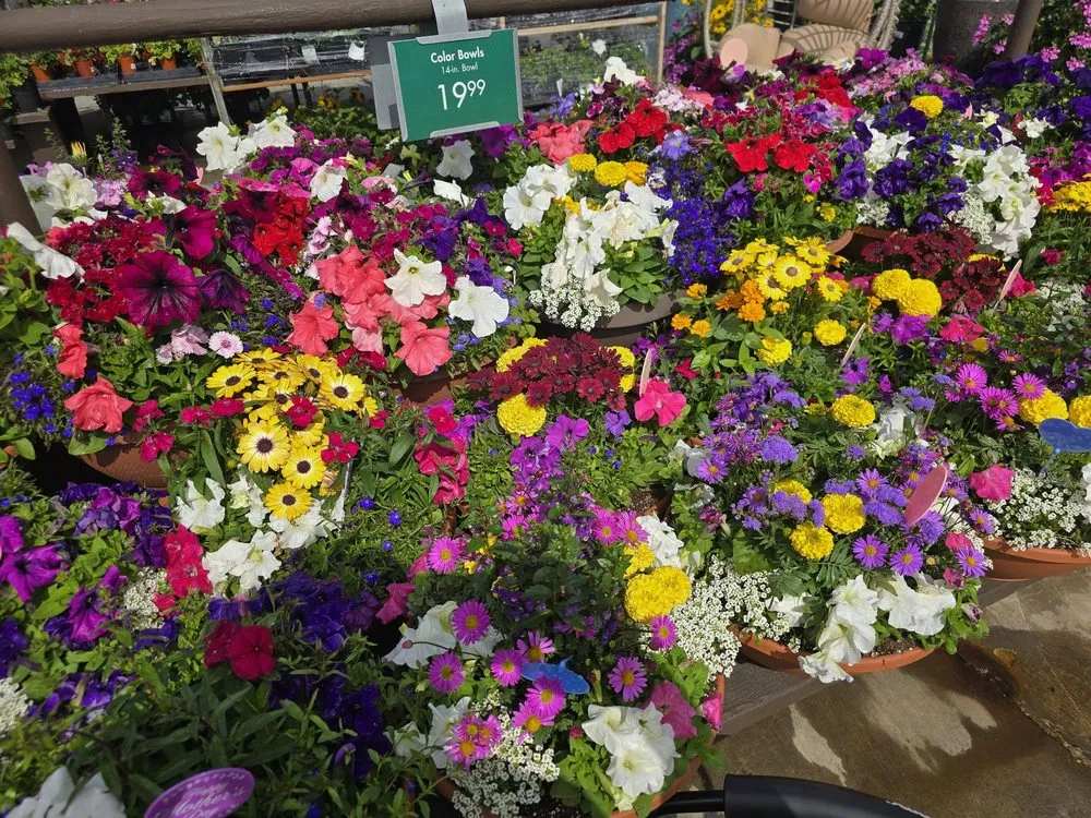 Custom residential landscaping experts serving Anaheim, CA - Armstrong Garden Centers