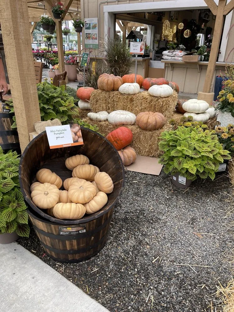 Affordable yard maintenance experts serving Anaheim, CA - Armstrong Garden Centers