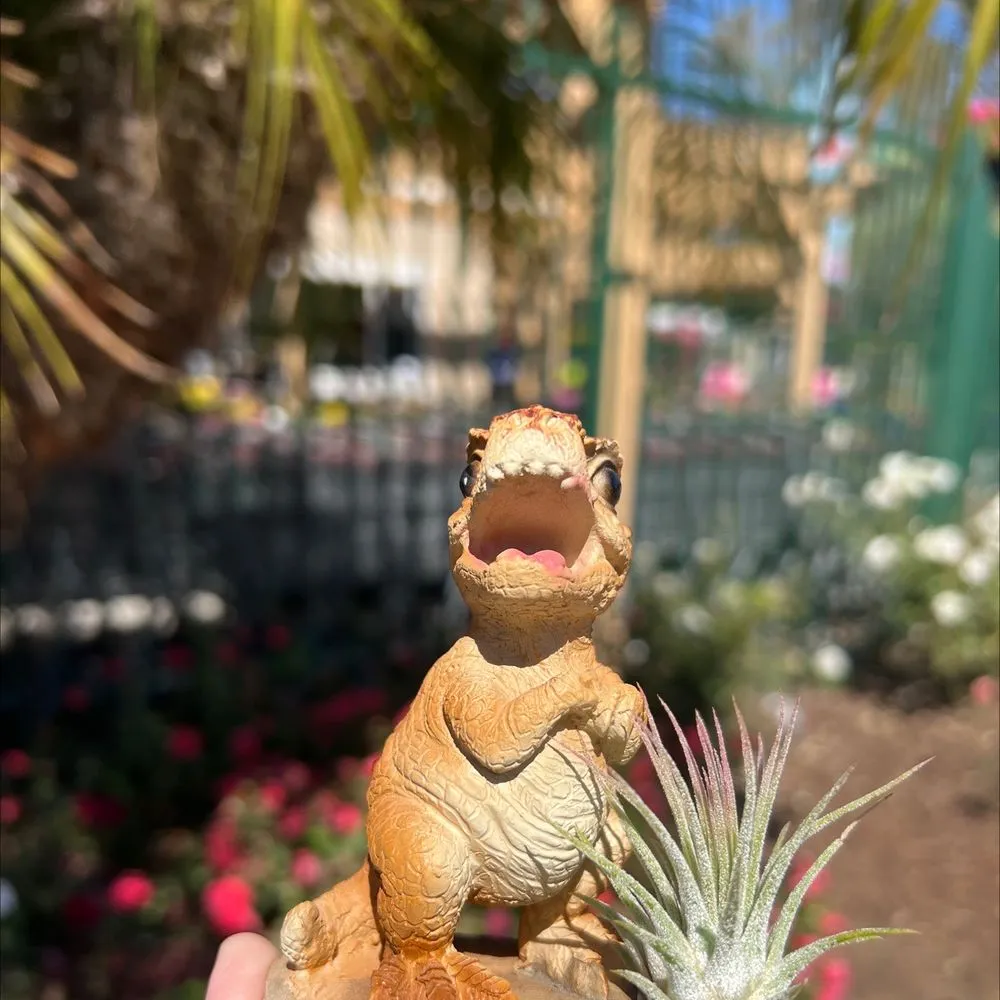 Reliable lawn care service with custom design across Carlsbad, CA - Armstrong Garden Centers