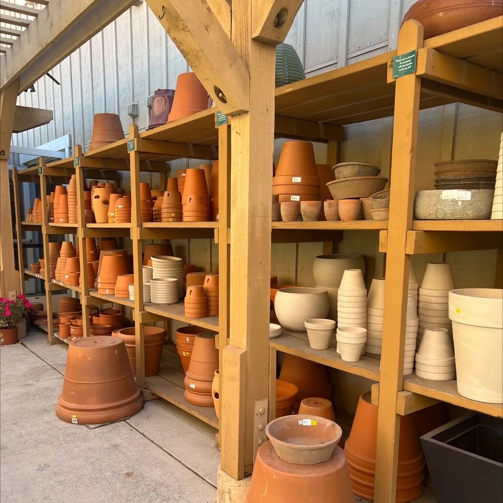 Top-rated residential landscaping for beautiful yards across Carlsbad, CA - Armstrong Garden Centers