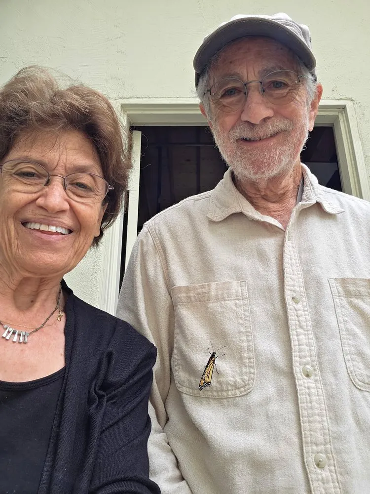 Top-rated yard cleanup service experts serving Carlsbad, CA - Armstrong Garden Centers