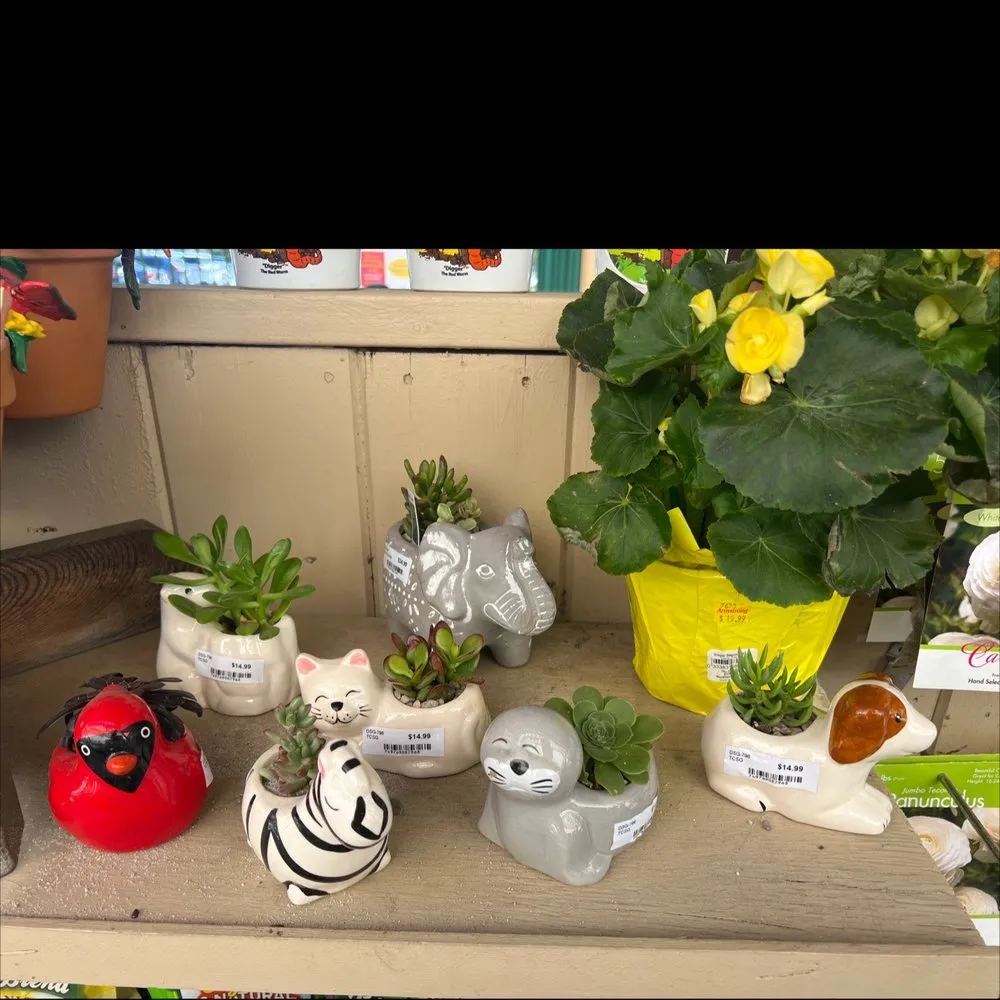 Trusted landscape installation for outdoor upgrades in Carlsbad, CA by Armstrong Garden Centers