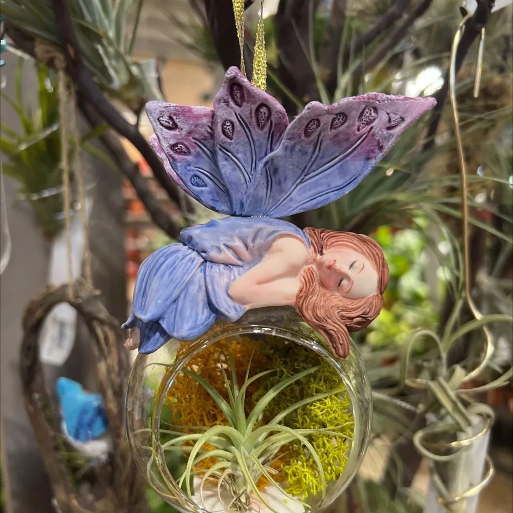 Reliable landscape design for beautiful yards in Carlsbad, CA by Armstrong Garden Centers