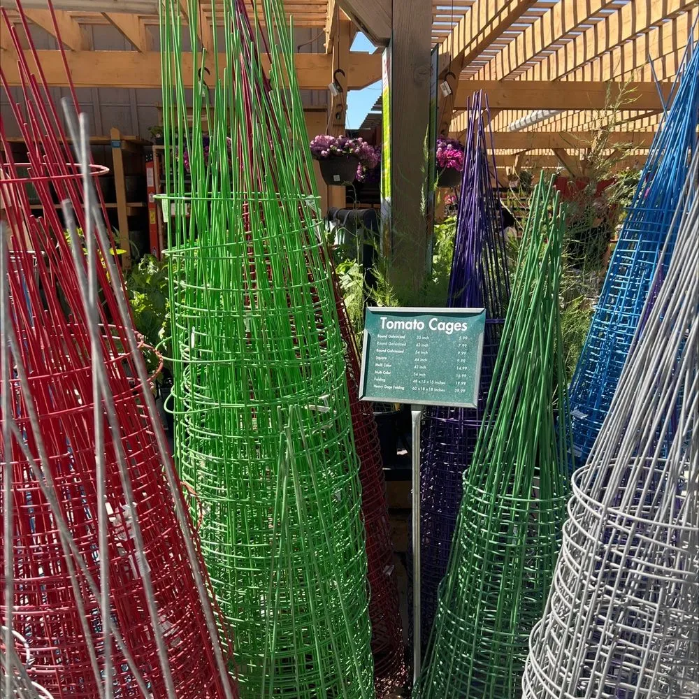 Reliable yard maintenance for outdoor upgrades in Carlsbad, CA by Armstrong Garden Centers