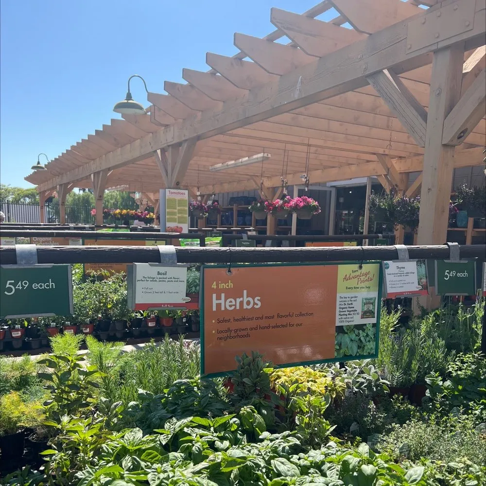 Reliable outdoor landscaping with custom design across Carlsbad, CA - Armstrong Garden Centers