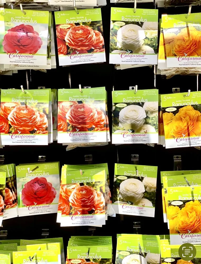 Trusted yard maintenance with custom design in Carlsbad, CA by Armstrong Garden Centers