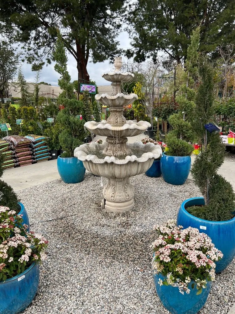 Custom outdoor landscaping in Claremont, CA - Armstrong Garden Centers