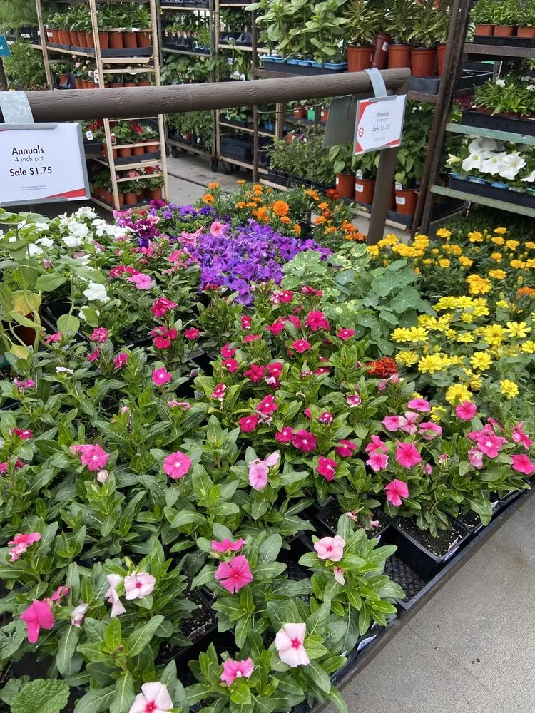 Affordable residential landscaping in Claremont, CA by Armstrong Garden Centers