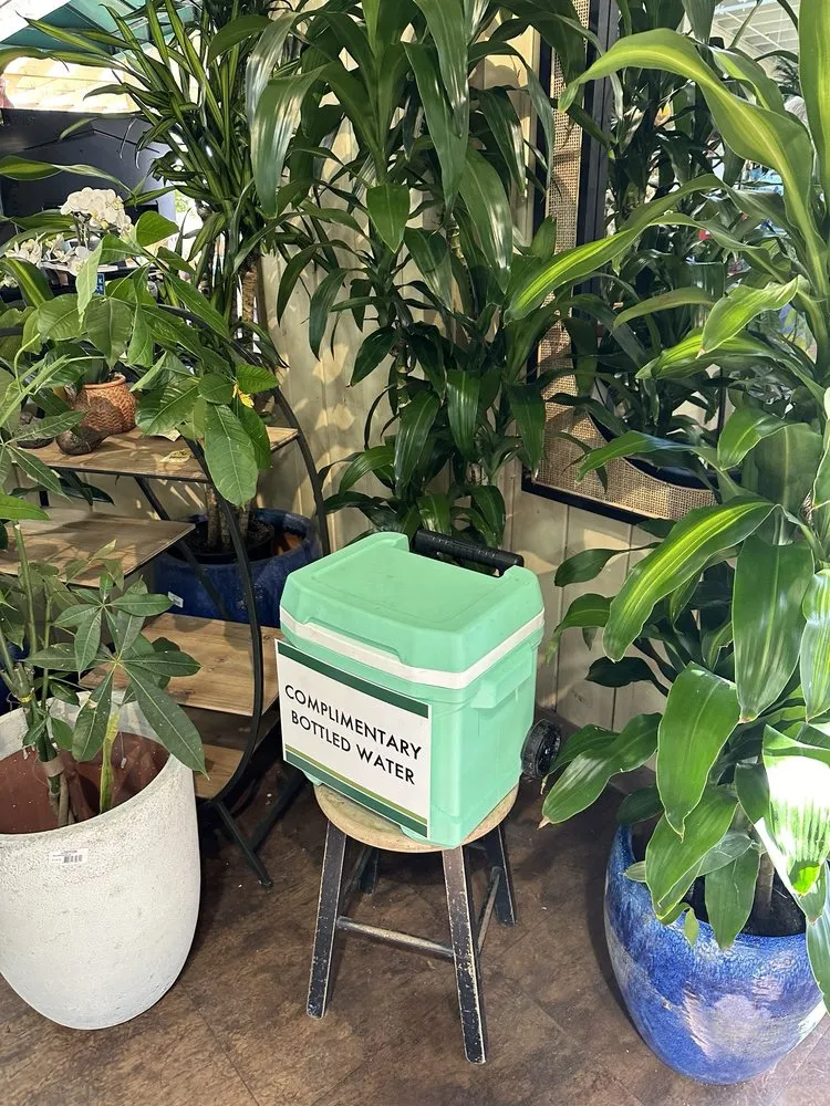 Affordable lawn care service in Costa Mesa, CA - Armstrong Garden Centers