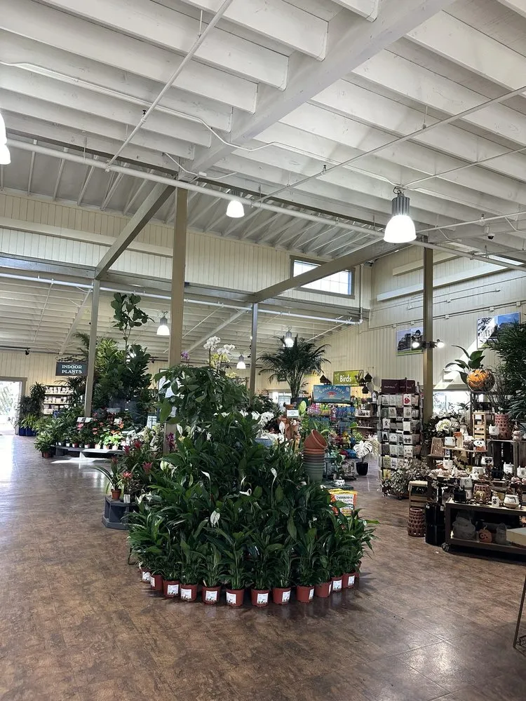 Trusted outdoor landscaping for beautiful yards across Costa Mesa, CA - Armstrong Garden Centers