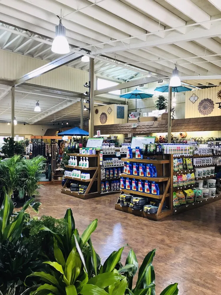 Expert landscape installation for year-round maintenance in Costa Mesa, CA by Armstrong Garden Centers