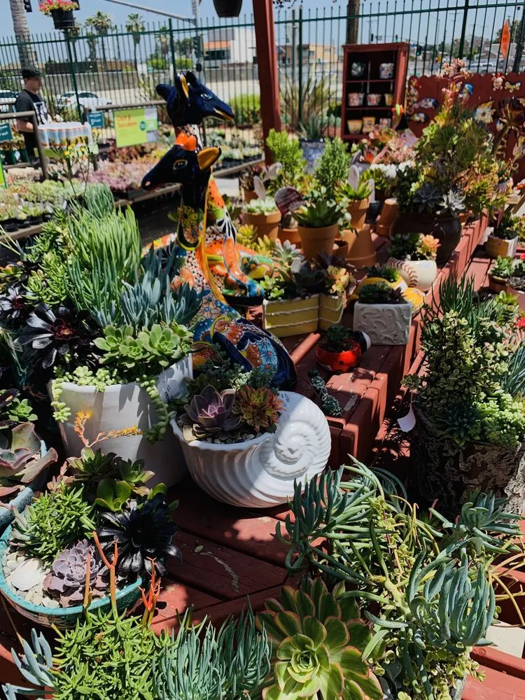 Custom lawn mowing service experts serving Costa Mesa, CA - Armstrong Garden Centers