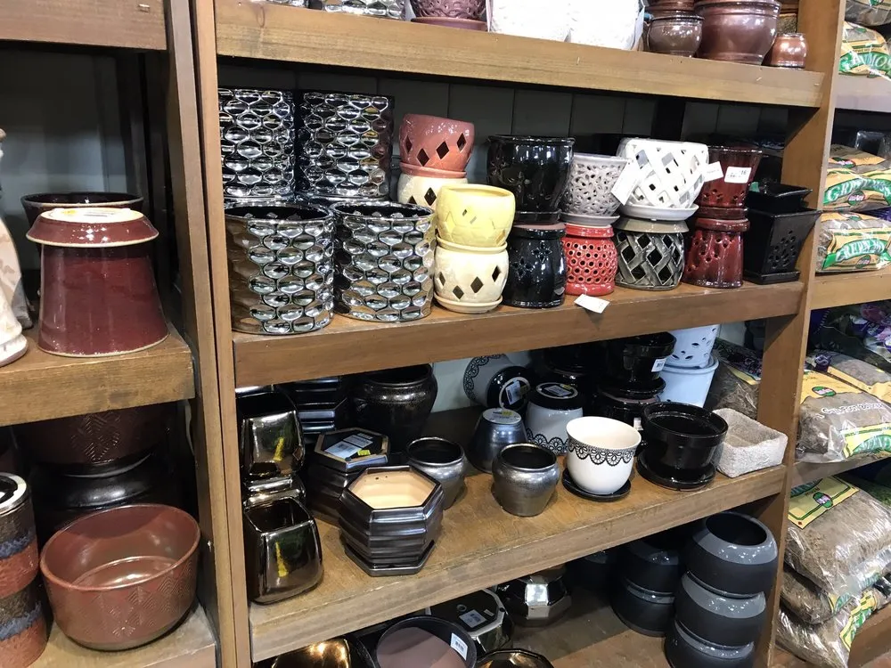 Top-rated yard cleanup service in Costa Mesa, CA - Armstrong Garden Centers