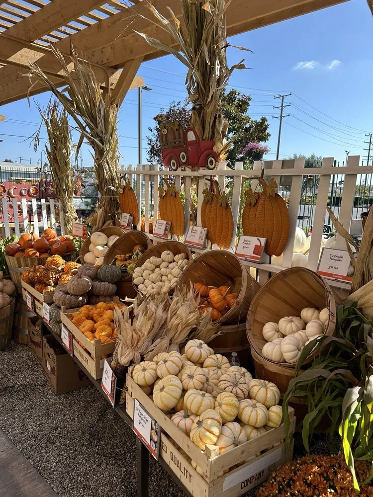 Trusted landscaping services near you across Costa Mesa, CA - Armstrong Garden Centers