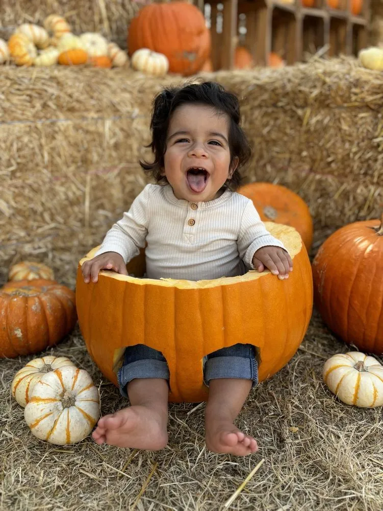 Local yard maintenance experts serving Del Mar, CA - Armstrong Garden Centers