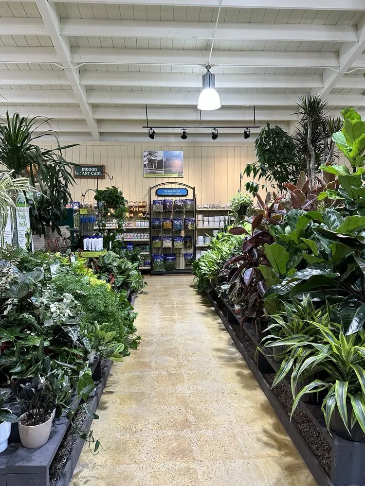 Professional yard cleanup service experts serving Del Mar, CA - Armstrong Garden Centers