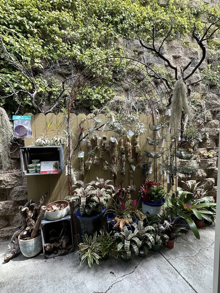 Trusted lawn mowing service in Del Mar, CA - Armstrong Garden Centers