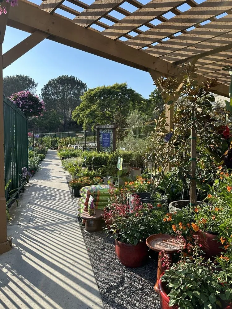 Professional outdoor landscaping experts serving Del Mar, CA - Armstrong Garden Centers