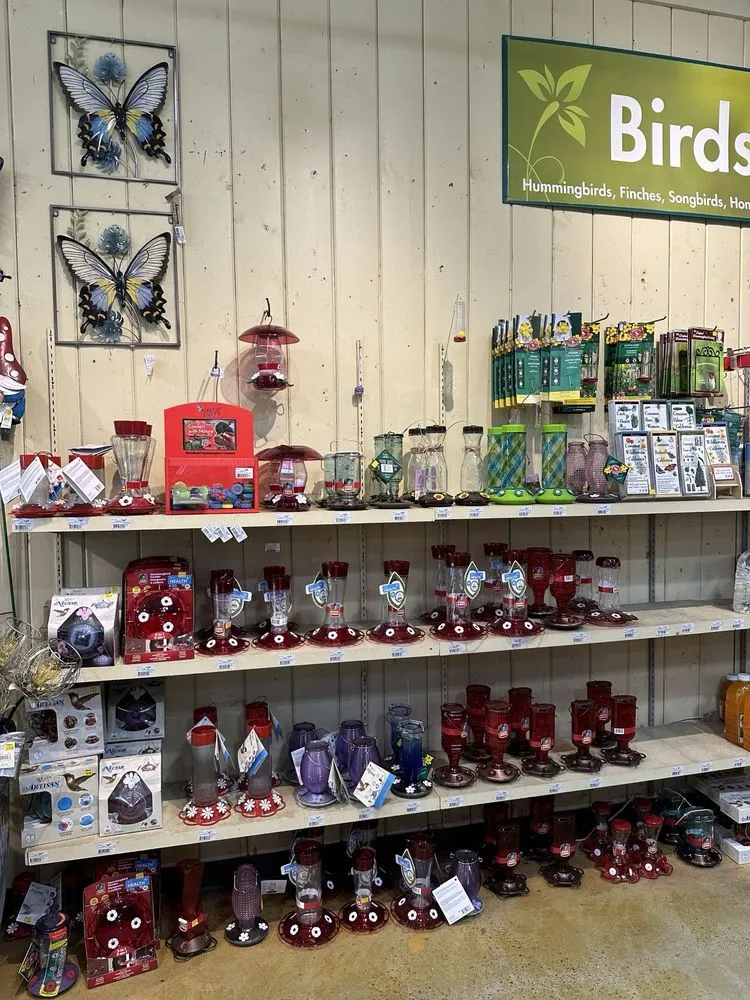 Affordable residential landscaping for residential properties across Del Mar, CA - Armstrong Garden Centers