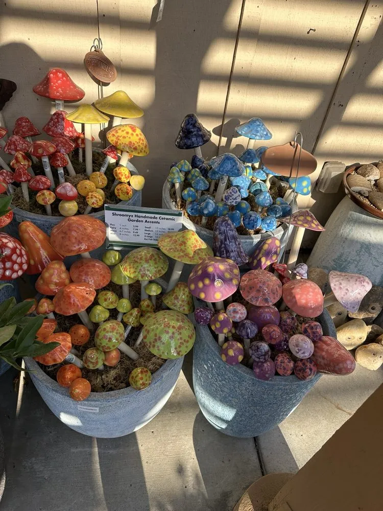 Local lawn care service with custom design in Del Mar, CA by Armstrong Garden Centers