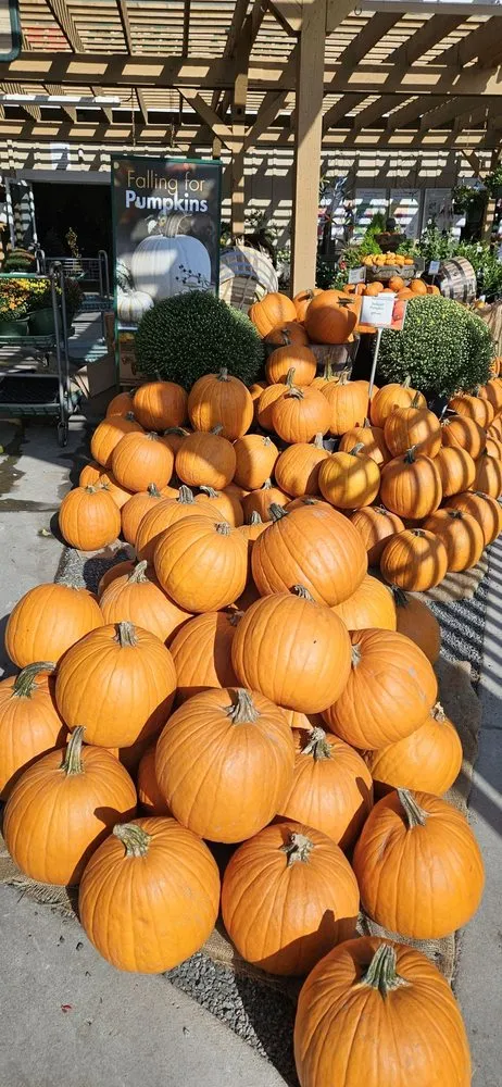 Local landscape design for residential properties in Del Mar, CA by Armstrong Garden Centers