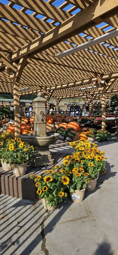 Professional lawn mowing service in Del Mar, CA - Armstrong Garden Centers