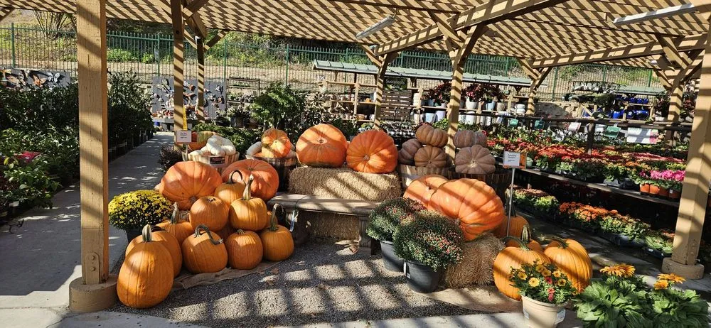 Top-rated landscape design in Del Mar, CA by Armstrong Garden Centers