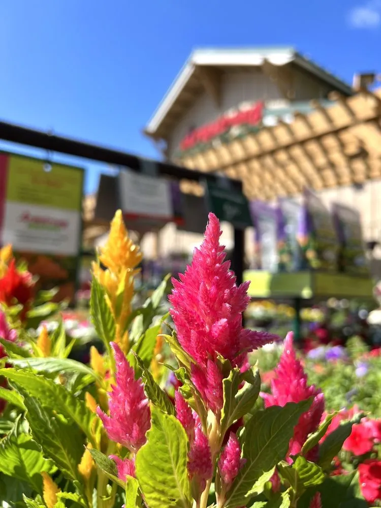 Top-rated garden landscaping in Del Mar, CA - Armstrong Garden Centers