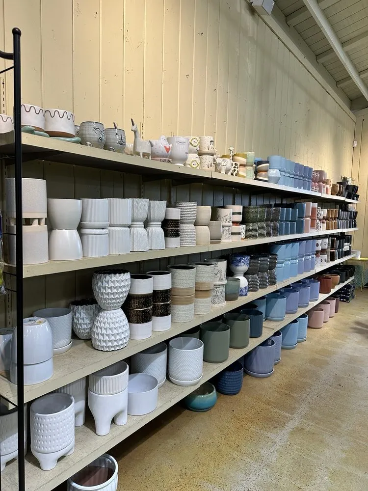 Custom landscape design for outdoor upgrades across Del Mar, CA - Armstrong Garden Centers