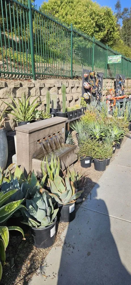 Local outdoor landscaping in Del Mar, CA - Armstrong Garden Centers