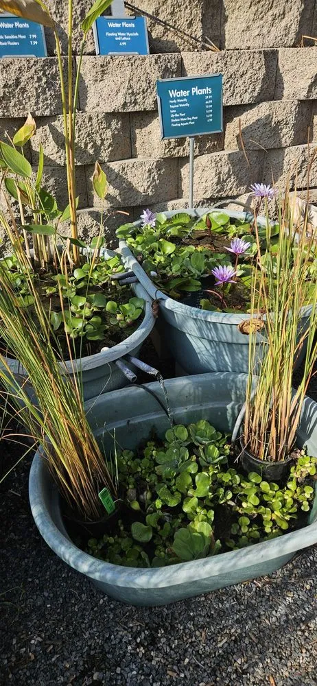 Professional landscape design for homes across Del Mar, CA - Armstrong Garden Centers