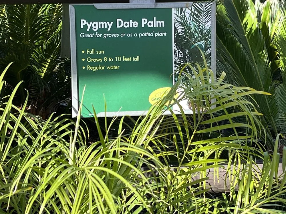 Trusted outdoor landscaping near you in El Cajon, CA by Armstrong Garden Centers